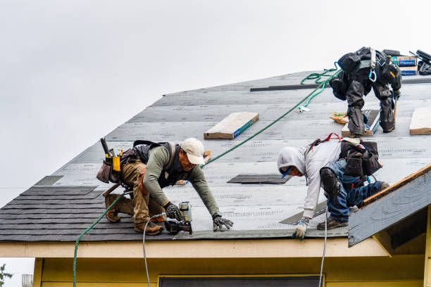 Professional Emergency Roof Repair technician working in Cedar Mountain, NC